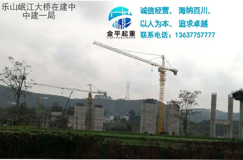 重庆市万州区金平起重设备安装有限公司   乐山岷江大桥
